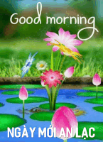 a picture of flowers in a pond with the words good morning