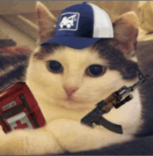 a cat wearing a hat and holding a gun and a first aid kit