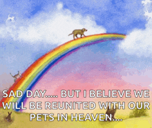 a dog walking on a rainbow with the words sad day but i believe we will be reunited with our pets