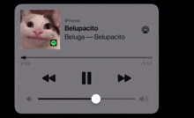 a phone screen playing a song called belupacito