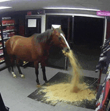 a horse is standing in front of a sign that says withdraw