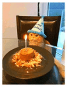 a cat wearing a party hat is sitting next to a plate of food with a candle on it .