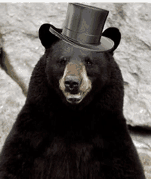 a black bear is wearing a top hat and smiling