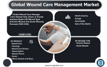 a global wound care management market poster with a picture of a wound