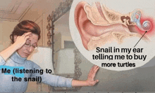 a woman is listening to a snail in her ear telling her to buy more turtles