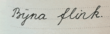 the word bijna is written in cursive on a piece of white paper