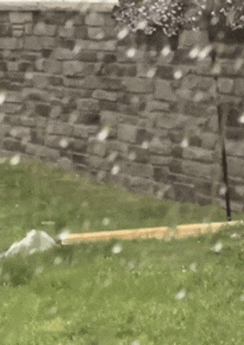 a brick wall is behind a lawn with a baseball bat in the grass .