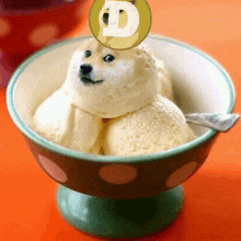 a bowl of ice cream with a doge coin on top of it