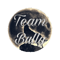 a logo that says team bully with a full moon behind it