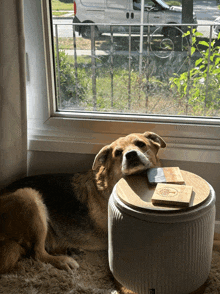 a dog laying on a rug looking out a window at a white van