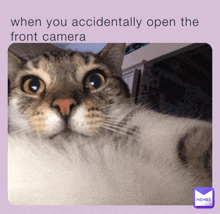 a cat is looking at the camera with the caption when you accidentally open the front camera