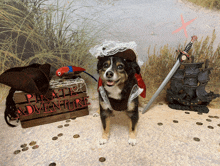 a dog dressed in a pirate costume stands in front of a sign that says pirate adventure