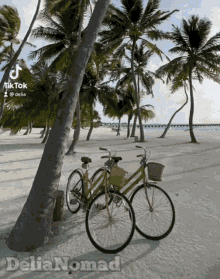 two bicycles are parked on a white sandy beach with palm trees in the background and the words delia nomads on the bottom