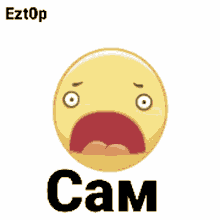 a yellow smiley face with a surprised look on its face and the word cam below it