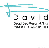 a logo for david dead sea resort and spa in hebrew