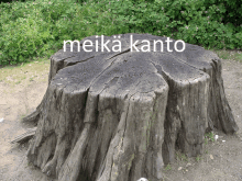 a large tree stump with the words meika kanto written on it