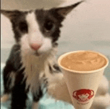 a black and white cat is standing next to a cup of coffee on a table .