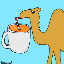 a camel is drinking from a cup with a straw