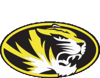 a black and yellow logo with a tiger head