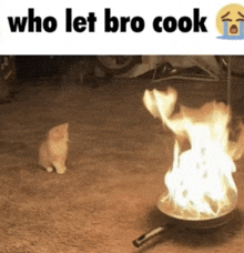 a picture of a cat looking at a frying pan on fire with the caption " who let bro cook "