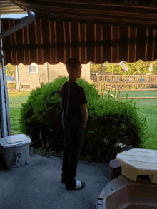 a boy stands under a brown awning looking out to a yard