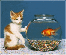 a cat is playing with a goldfish in a fish bowl