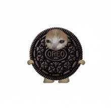 a cat is standing inside of an oreo cookie with arms and legs .