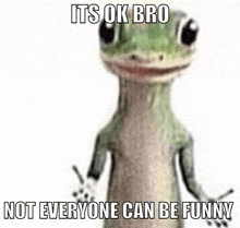 a lizard with a caption that says `` its ok bro not everyone can be funny ''