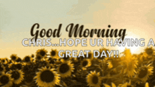 a good morning chris hope ur having a great day