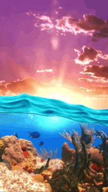 a sunset over a coral reef with fish