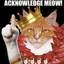 a cat is wearing a crown and giving the middle finger