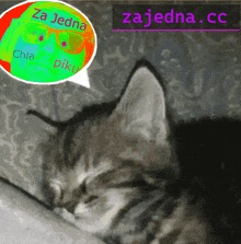 a picture of a cat with a green speech bubble saying za jedna