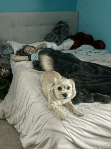 a dog is laying on a bed next to a girl