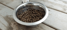 a stainless steel bowl filled with dog food on a wooden table