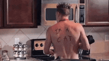 a shirtless man with a mohawk and a tattoo on his back says i 'm a cat