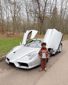 a young boy stands in front of a silver sports car with the hood up