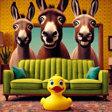 three donkeys are sitting on a green couch with a yellow duck in front of them