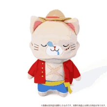 a stuffed cat wearing a red jacket and a hat