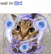 a picture of a cat with the words wait im sol written below it