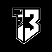 a black and white logo with the number 13 in the center