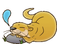 a cartoon otter laying on a rock with a speech bubble above it