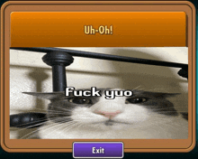 a picture of a cat with the words uh-oh and fuck yuo on it