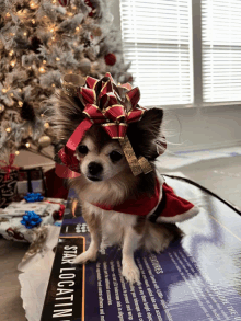 a small dog wearing a santa outfit is sitting on a star locatin sign