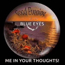 a good evening blue eyes me in your thoughts graphic