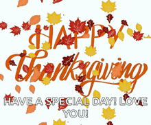 a happy thanksgiving greeting card with autumn leaves and the words have a special day love you