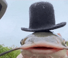 a catfish wearing a top hat with a mustache on it .