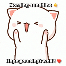 a cartoon cat with the words morning sunshine hope you slept well below it