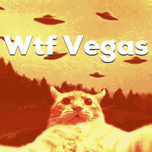 a picture of a cat with the words wtf vegas written above it