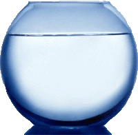 a blue fish bowl with water in it