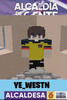 a minecraft character with the name ye_westn on the top